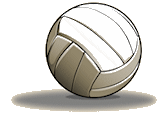 Volleyball at the Bridge Street Tavern Volleyball at the Bridge Street Tavern